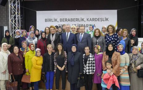 AK Parti Genel Başkan Yardımcısı, Teşkilat Başkanı ve İstanbul Milletvekili