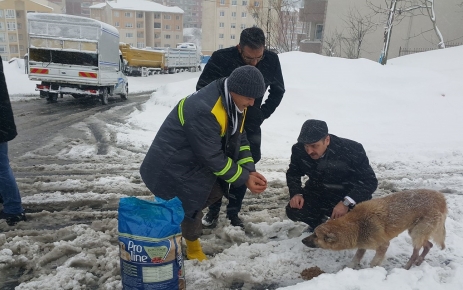 Gaziosmanpaşa Belediye Başkanı Hasan Tahsin Usta "Aç ve açıkta sokak