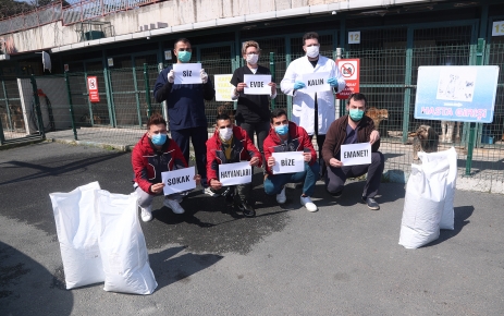 Gaziosmanpaşa Belediyesi, bu zorlu süreçte sokak hayvanlarını da unutmadı.