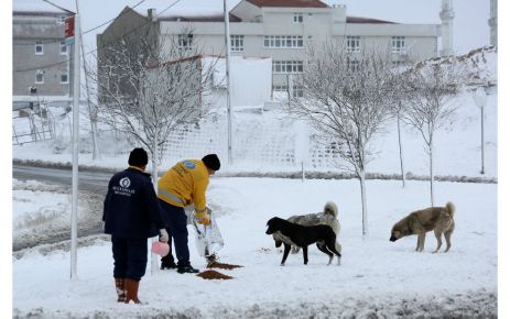 Sultangazi Belediyesi,  kar yağışının yeniden başlamasıyla birlikte risk altında