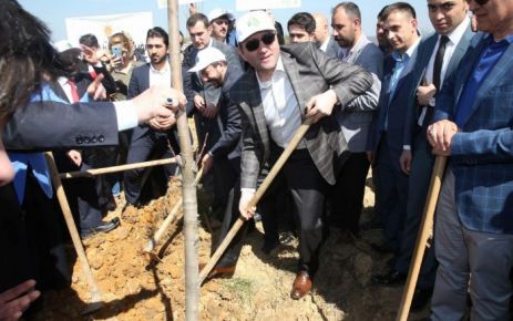 AK Parti İstanbul İl Sosyal Politikalar Başkanlığı, “2016 Çınar Yılı”