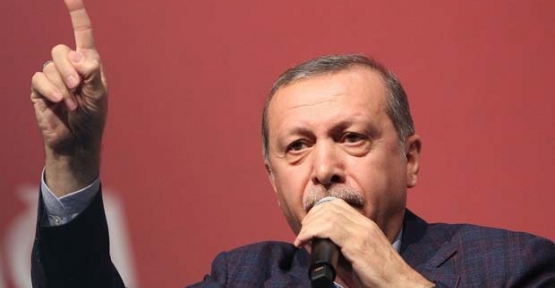 Cumhurbaşkanı Recep Tayyip Erdoğan, Almanya'nın Karlsruhe kentinde düzenlenen "Gençlik Buluşması"