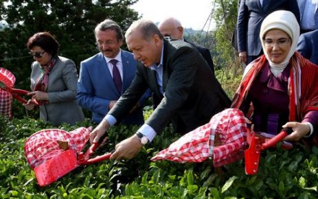 Cumhurbaşkanı Recep Tayyip Erdoğan, Ziraat Çay Bahçesi'ni ziyaret ederek eşi