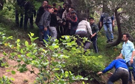 Giresun’un Alucra ilçesinde orman alanına düşen helikopter hakkında  olay