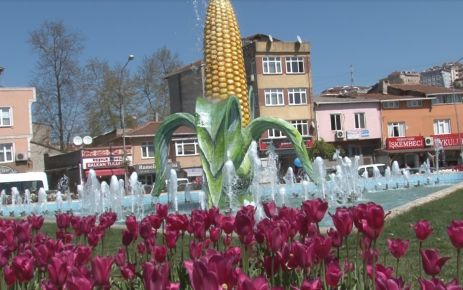 Eyüp te Parklar, Bahçeler, Meydanlar birbirinden güzel lalelerle süslendi.