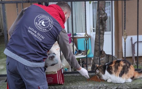 Gaziosmanpaşa Belediyesi, pandemi ve soğuk hava şartlarının etkili olduğu bu