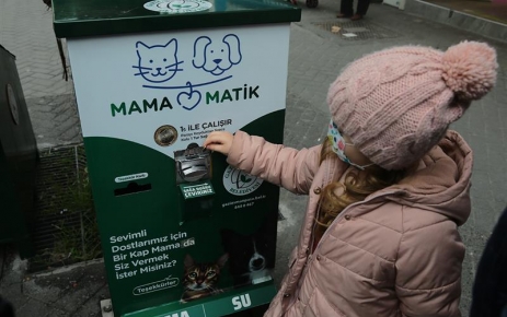 Gaziosmanpaşa Belediyesi ve gönüllü vatandaşlar, kış aylarında sokak hayvanlarının soğuklardan