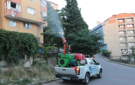 Gaziosmanpaşa Belediyesi, haşare ve sineklere  karşı mücadele başlattı.