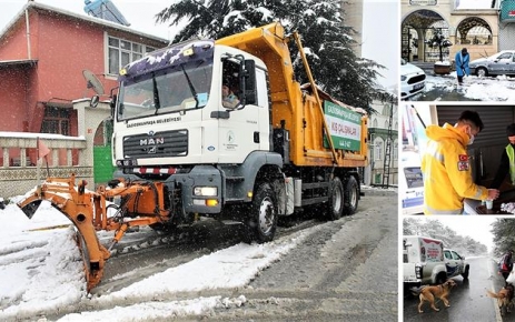 Gaziosmanpaşa Belediyesi, ilçede etkili olan yoğun kar yağışının ulaşımı aksatmaması