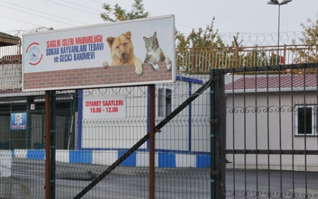 Gaziosmanpaşa Belediyesi, sokak hayvanları üşümesin diyor Gaziosmanpaşa Belediyesi, “Sokak Hayvanları Tedavi ve Geçici Bakımevi”nde sokak hayvanlarına