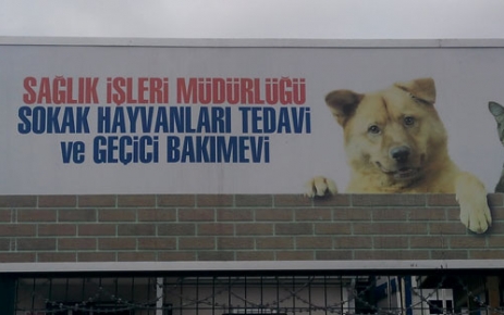 Gaziosmanpaşa'da Sokak Hayvanları Artık Daha Güvende olduğu bildirildi.