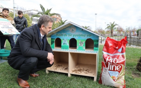 Gaziosmanpaşa Belediyesi, sokakta yaşayan kedi, köpek, kuş gibi canlılara sahip