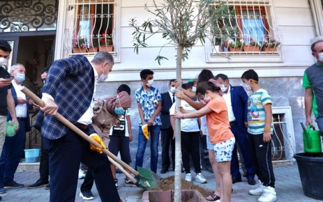 Gaziosmanpaşa Belediyesi, Barbaros Hayrettin Paşa Mahallesi 1017 sokakta yapılan 