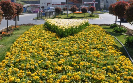Her geçen gün daha da yeşille özdeşleşen Gaziosmanpaşa’da; caddeler, bulvarlar,