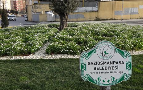 Gaziosmanpaşa çiçek bahçesi oluyor Gaziosmanpaşa Belediyesi sokakları, parkları ve caddeleri ilkbaharın müjdecisi olan çiçeklerle