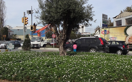 Gaziosmanpaşa Belediyesi, çevreye renk ve güzellik katan mevsimlik çiçeklerle ilçeyi