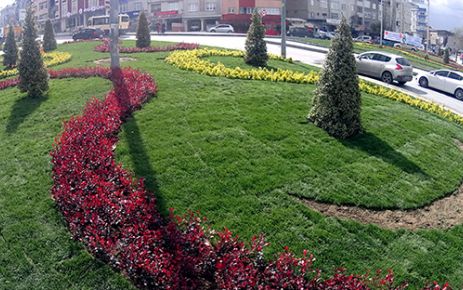 Gaziosmanpaşa Belediyesi, ana arter ve caddeleri diktiği çiçeklerle süsledi.