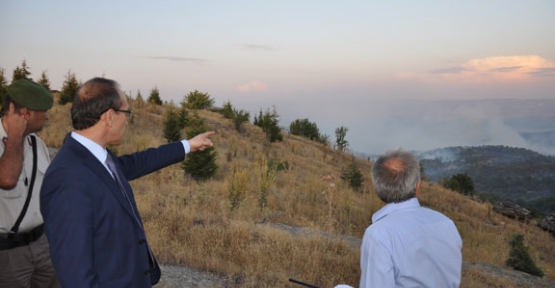 Uşak Valisi Seddar Yavuz"Üst üste çıkan orman yangını yüreğimi dağladı"dedi.