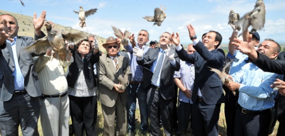 Uşak Doğa Koruma ve Milli Parklar Şube Müdürlüğü, Gaziantep'teki Keklik