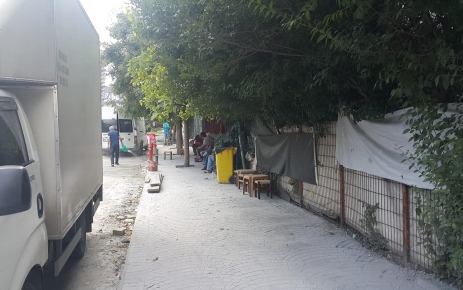 Safa caddesine o ağaç dikildi.