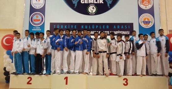 Cebeci Spor Kompleksinde düzenlenen şölende, judo, taekwondo, güreş ve karate