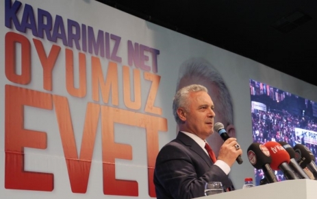 AK Parti Genel Başkan Yardımcısı, Teşkilat Başkanı ve İstanbul Milletvekili