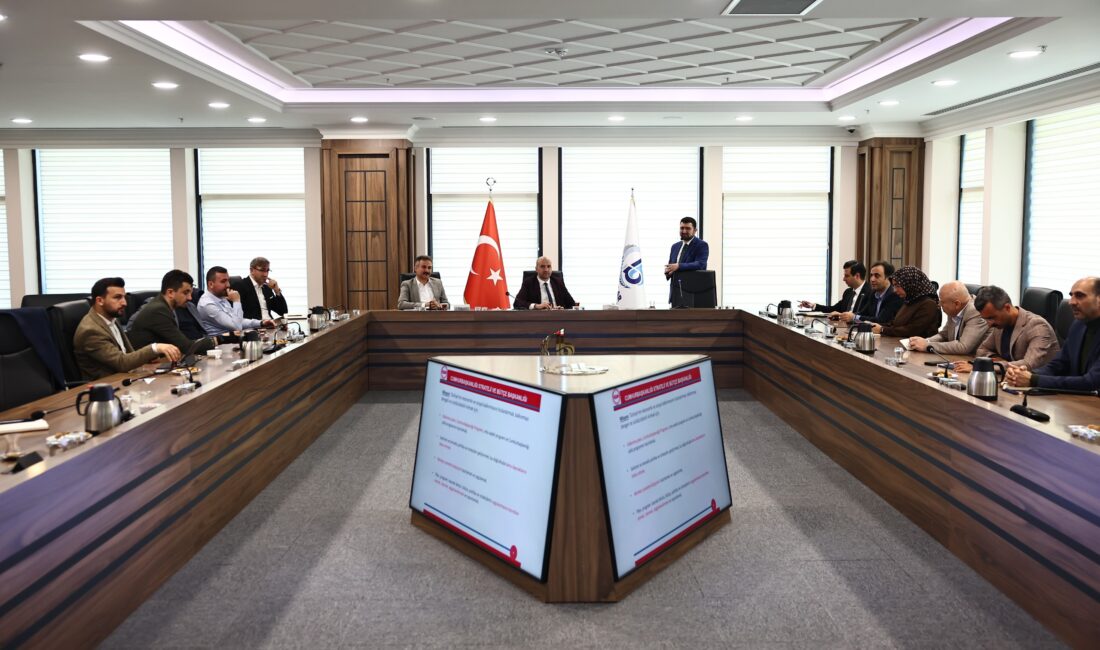 Cumhurbaşkanlığı Strateji ve Bütçe Başkanlığı’ndan Strateji ve Bütçe Uzmanı Ali
