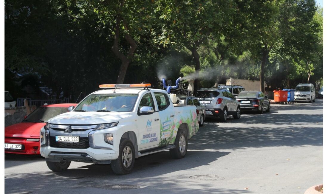 İlçe genelinde düzenli olarak sinek ve haşerelere karşı ilaçlama sürdürüldü.