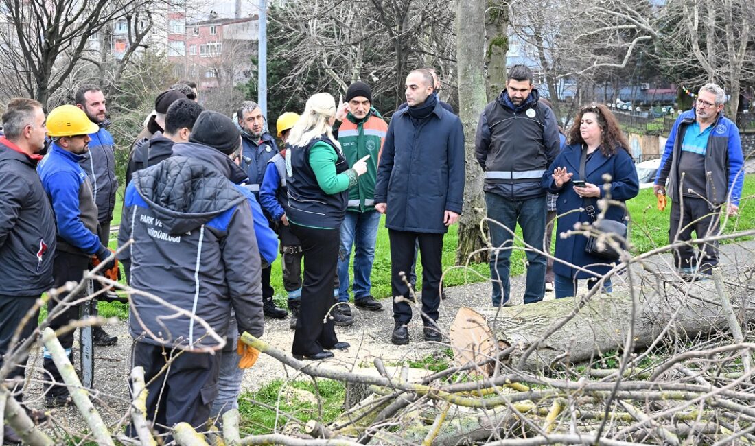 Gaziosmanpaşa Belediyesi, halk sağlığını tehdit eden teke böceğine karşı ilçe